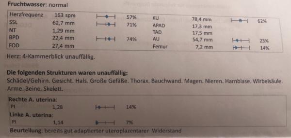 Bild zu Ergebnisse Nackenfaltenmessung - Schwanger - wer noch? Rund um die Schwangerschaft