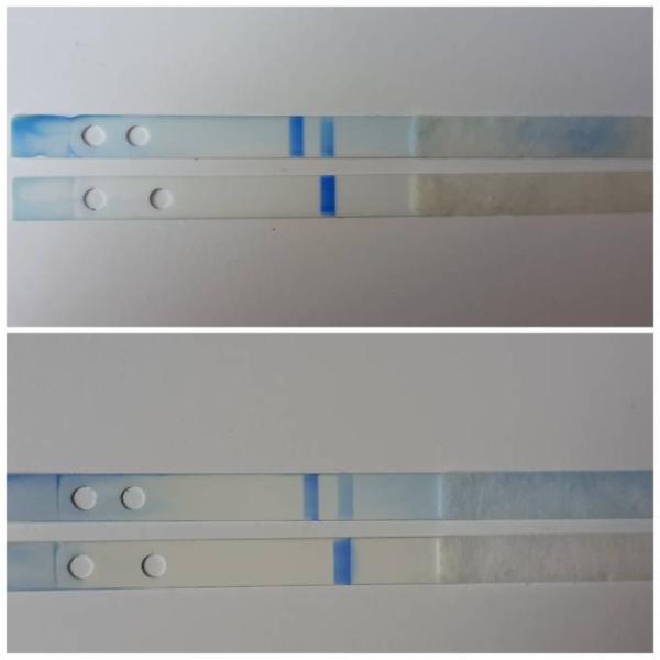 Bild zu HILFE! Clearblue mit WB seit 10 Tagen bei 2-3??? - Schwanger - wer noch? Rund um die Schwangerschaft