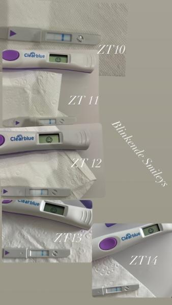 Bild zu Ovutest clearblue Lila - Schwanger - wer noch? Rund um die Schwangerschaft