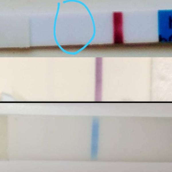 Bild zu Tests Positiv oder Negativ - Schwanger - wer noch? Rund um die Schwangerschaft