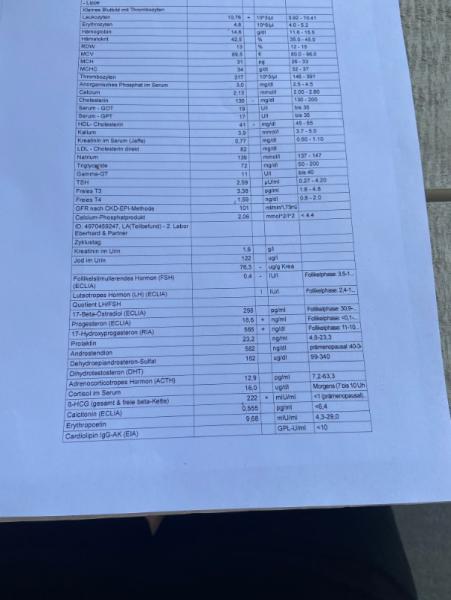 Bild zu Doc will erneute blut Abnahme in 14 tagen - Schwanger - wer noch? Rund um die Schwangerschaft