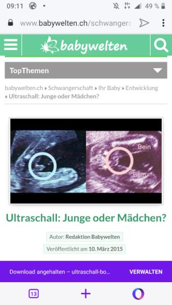 Bild zu