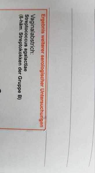 Bild zu B Streptokokken - Schwanger - wer noch? Rund um die Schwangerschaft