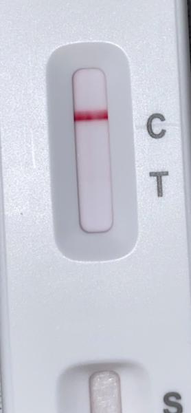 Bild zu Coronatest positiv? - Schwanger - wer noch? Rund um die Schwangerschaft
