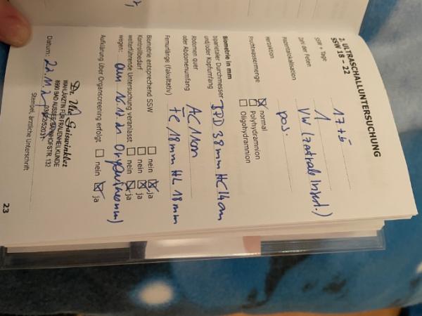 Bild zu Kuzer femur und humerus - Schwanger - wer noch? Rund um die Schwangerschaft