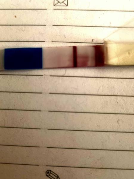 Bild zu Test defekt? - Schwanger - wer noch? Rund um die Schwangerschaft