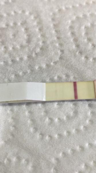 Bild zu Test - Schwanger - wer noch? Rund um die Schwangerschaft