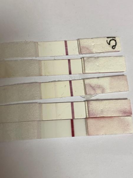 Bild zu Es+13 test werden schwächer - Schwanger - wer noch? Rund um die Schwangerschaft
