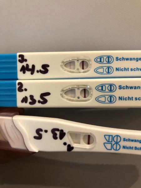 Bild zu Ich bin hoffentlich dabei sst als bild anbei - Schwanger - wer noch? Rund um die Schwangerschaft