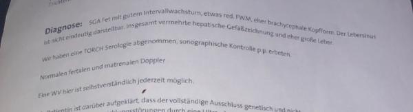 Bild zu Eher brachyecphale Kopfform SSW31 - Schwanger - wer noch? Rund um die Schwangerschaft