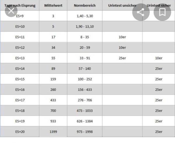 Bild zu HCG wert - Schwanger - wer noch? Rund um die Schwangerschaft