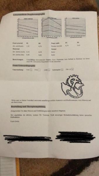 Bild zu White Spot bei der Feindiagnostik - Schwanger - wer noch? Rund um die Schwangerschaft