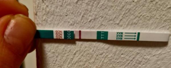 Bild zu Ist das eine Linie..? - Schwanger - wer noch? Rund um die Schwangerschaft