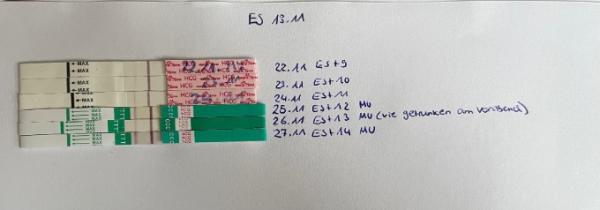 Bild zu Testlininie interschiedlich stark und Unterleibsschmerzen - Schwanger - wer noch? Rund um die Schwangerschaft