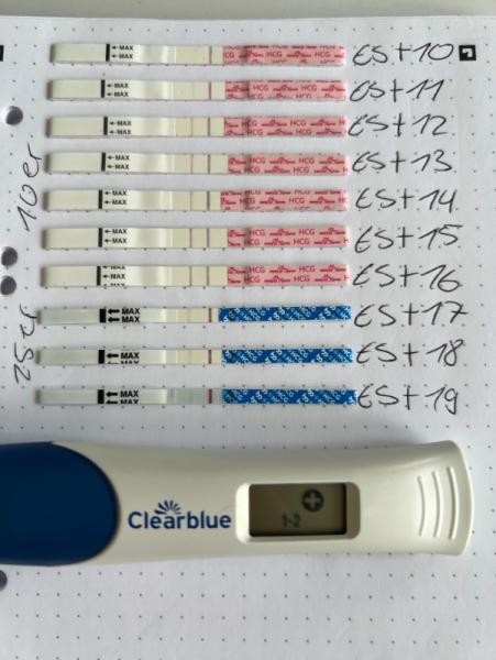 Bild zu 6ssw Tests immer noch sehr schwach - Schwanger - wer noch? Rund um die Schwangerschaft
