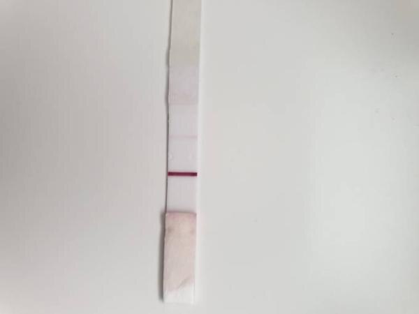 Bild zu Update sst Gestern und heute - Schwanger - wer noch? Rund um die Schwangerschaft