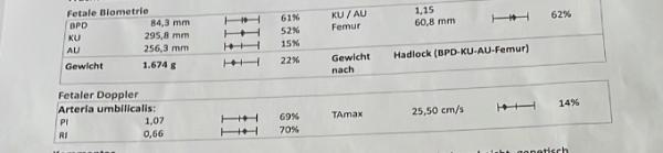 Bild zu Was bedeuten die Prozentzahlen - Schwanger - wer noch? Rund um die Schwangerschaft
