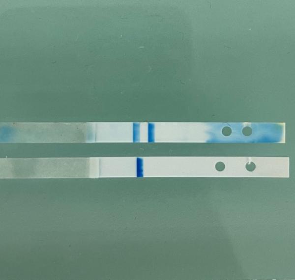 Bild zu Wie lange noch bis zur 3+? (Clear blue digital) - Schwanger - wer noch? Rund um die Schwangerschaft