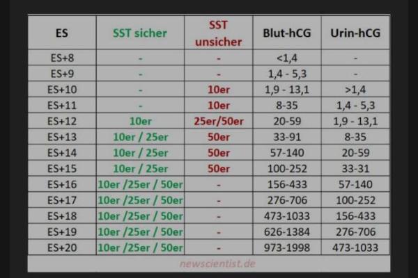 Bild zu ES+12 test negativ - Schwanger - wer noch? Rund um die Schwangerschaft