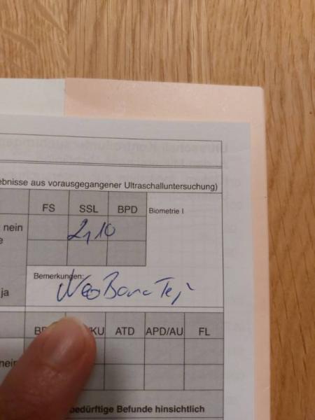 Bild zu Bemerkung im Mutterpass entziffern - Schwanger - wer noch? Rund um die Schwangerschaft