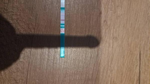 Bild zu 