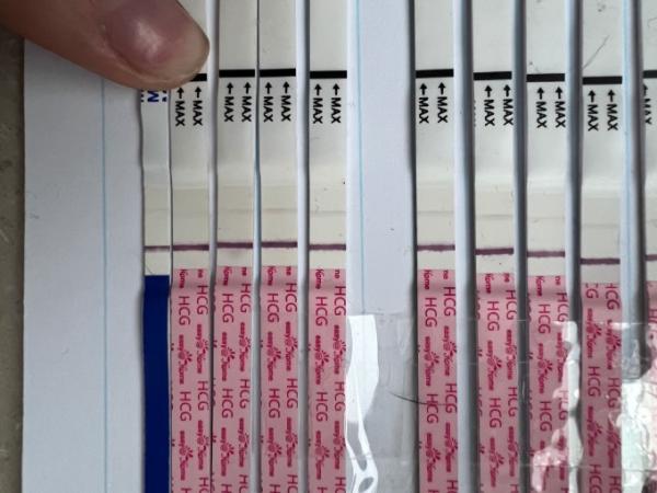 Bild zu Eisprung + 18 Tests nur leicht positiv werden nicht stärker - Schwanger - wer noch? Rund um die Schwangerschaft