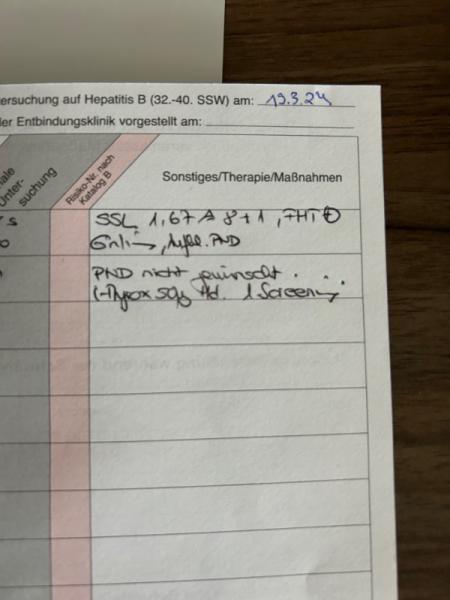 Bild zu Übersetzung Mutterpass - Schwanger - wer noch? Rund um die Schwangerschaft
