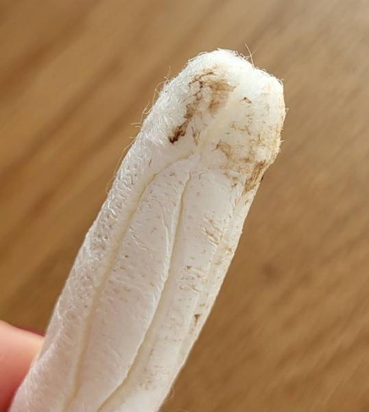 Bild zu Achtung Bild: Seit 11 Tagen Schmierblutungen - Schwanger - wer noch? Rund um die Schwangerschaft