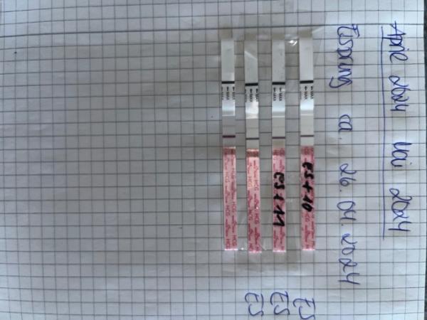 Bild zu SSW Test zu schwach ? - Schwanger - wer noch? Rund um die Schwangerschaft