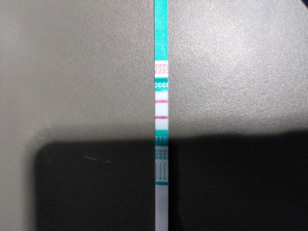 Bild zu Sehr stark positives Ergebnis - Zwillinge? - Schwanger - wer noch? Rund um die Schwangerschaft