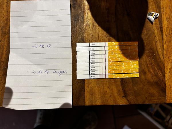 Bild zu Biochemische Schwangerschaft?! - Schwanger - wer noch? Rund um die Schwangerschaft