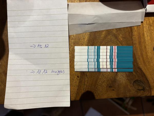 Bild zu Biochemische Schwangerschaft?! - Schwanger - wer noch? Rund um die Schwangerschaft