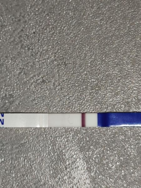 Bild zu Positiv oder negativ - Schwanger - wer noch? Rund um die Schwangerschaft