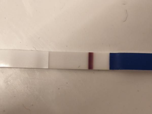 Bild zu Positiv oder negativ - Schwanger - wer noch? Rund um die Schwangerschaft