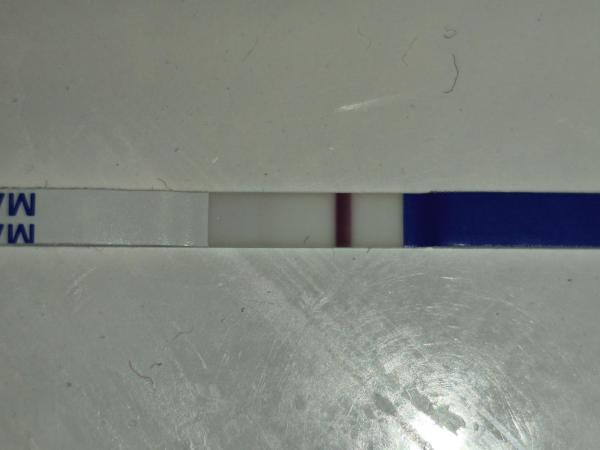 Bild zu Positiv oder negativ - Schwanger - wer noch? Rund um die Schwangerschaft