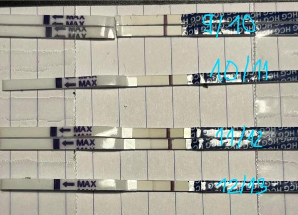 Bild zu Test zu schwach für ES + 12/13?? - Schwanger - wer noch? Rund um die Schwangerschaft