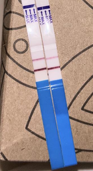 Bild zu Test wird heller - Schwanger - wer noch? Rund um die Schwangerschaft