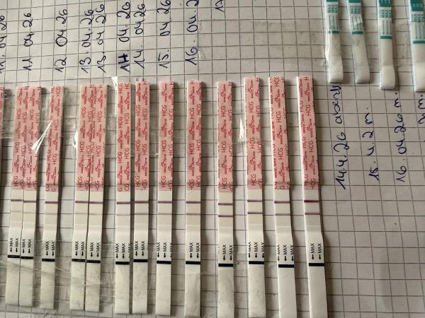 Bild zu Wird der Test schwächer? 5+1 - Schwanger - wer noch? Rund um die Schwangerschaft