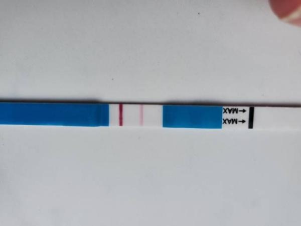 Bild zu 16 Tage nach Ausschabung....... - Kinderwunsch nach Fehlgeburt