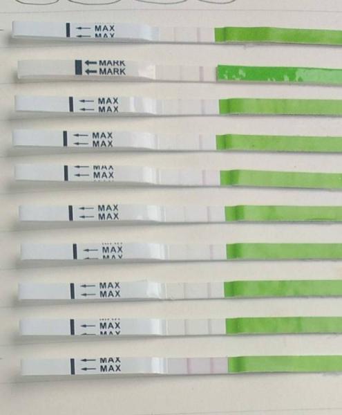 Bild zu Nur ein Test positiv nach AS. Trotzdem Es? - Kinderwunsch nach Fehlgeburt