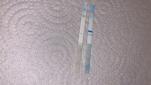 Bild zu Clearblue mit wochenbestimmung - Kinderwunsch nach Fehlgeburt