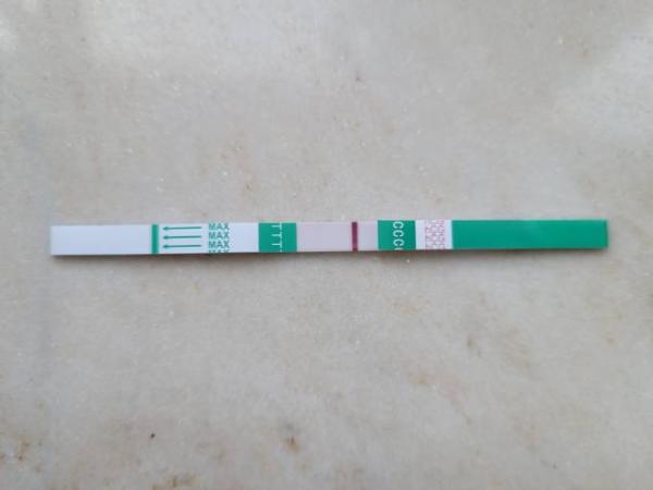 Bild zu 2 Tage nach AS test schon fast negativ - Kinderwunsch nach Fehlgeburt
