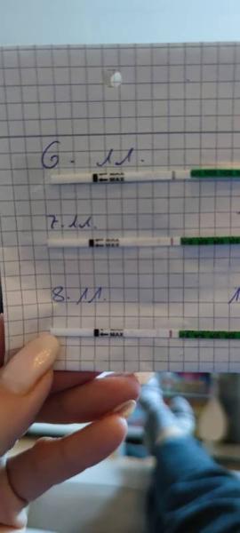Bild zu Schwanger 2 Wochen nach AS - Kinderwunsch nach Fehlgeburt