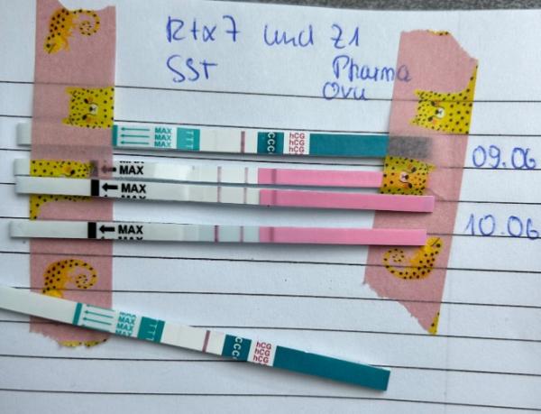 Bild zu Eure Erfahrung Ovu vs. Schwangerschaftstest HcG sinkt langsam - Kinderwunsch nach Fehlgeburt