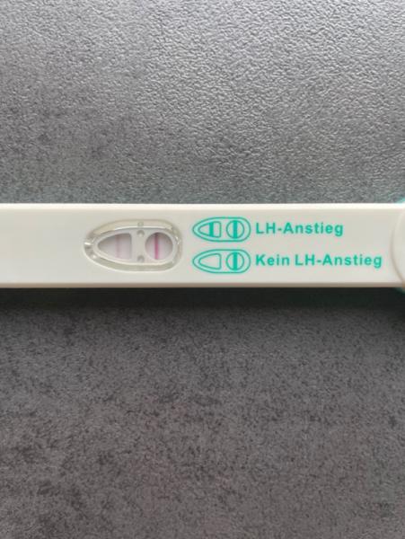 Bild zu Das erste mal Ovulationstest - Kinderwunsch nach Fehlgeburt