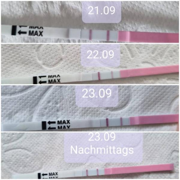 Bild zu Erster ES nach frühem Abgang - Kinderwunsch nach Fehlgeburt