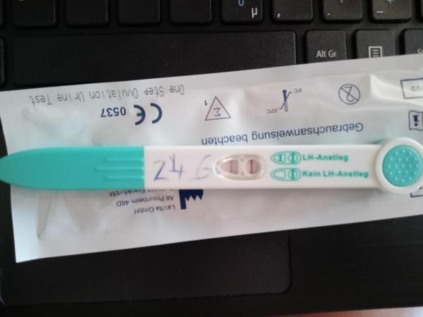 Bild zu Ovulationstest - Kinderwunsch nach Fehlgeburt