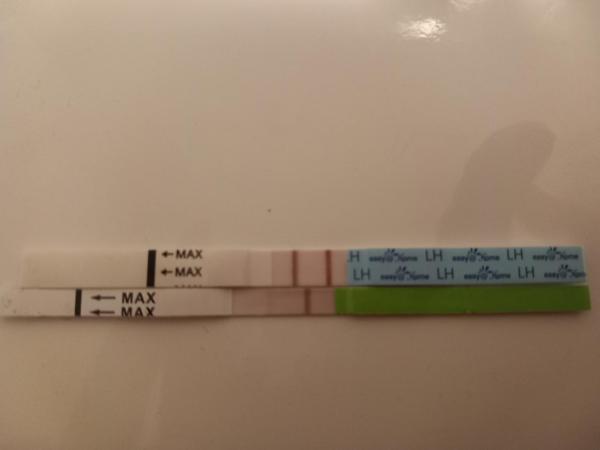 Bild zu Unterschiedliche Ergebnisse Ovu Test - Kinderwunsch nach Fehlgeburt