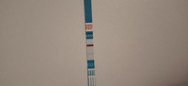 Bild zu SST 2,5 Wochen nach FG wieder eindeutig positiv?! - Kinderwunsch nach Fehlgeburt