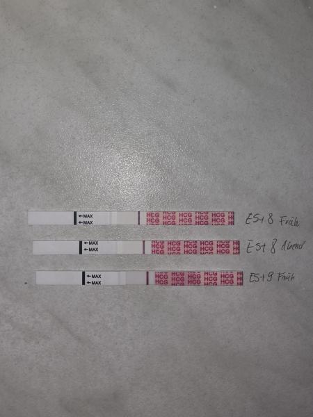 Bild zu Kinderwunsch nach FG es+9 - Kinderwunsch nach Fehlgeburt
